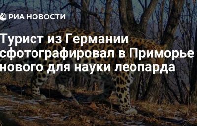 Турист из Германии сфотографировал в Приморье нового для науки леопарда