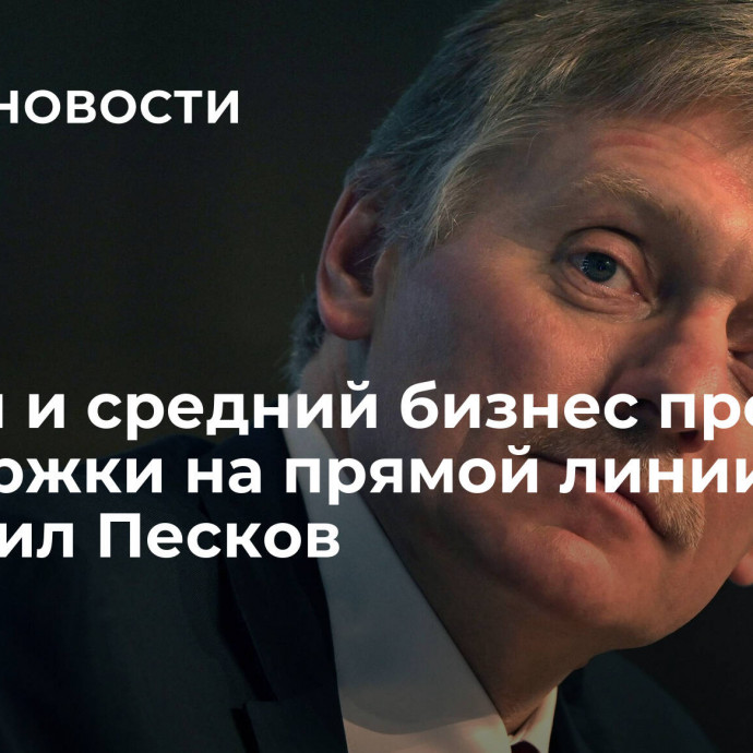 Малый и средний бизнес просит поддержки на прямой линии, сообщил Песков