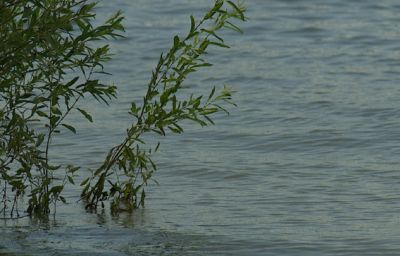 Лодка с людьми перевернулась на Волге под Нижним Новгородом