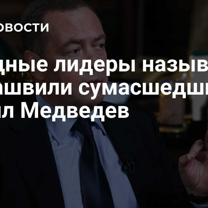 Западные лидеры называли Саакашвили сумасшедшим, заявил Медведев