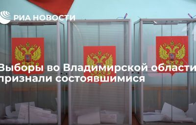 Выборы во Владимирской области признали состоявшимися