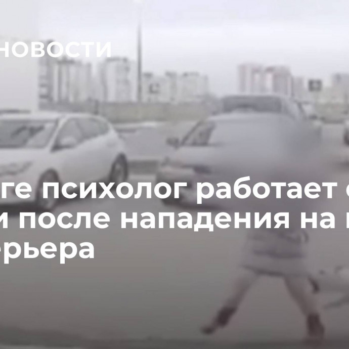 В Калуге психолог работает с детьми после нападения на них бультерьера