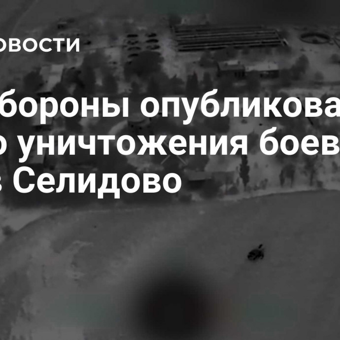 Минобороны опубликовало видео уничтожения боевиков ВСУ в Селидово