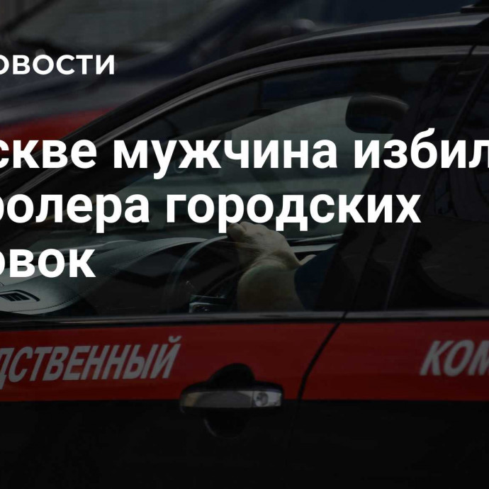 В Москве мужчина избил контролера городских парковок