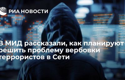 В МИД рассказали, как планируют решить проблему вербовки террористов в Сети