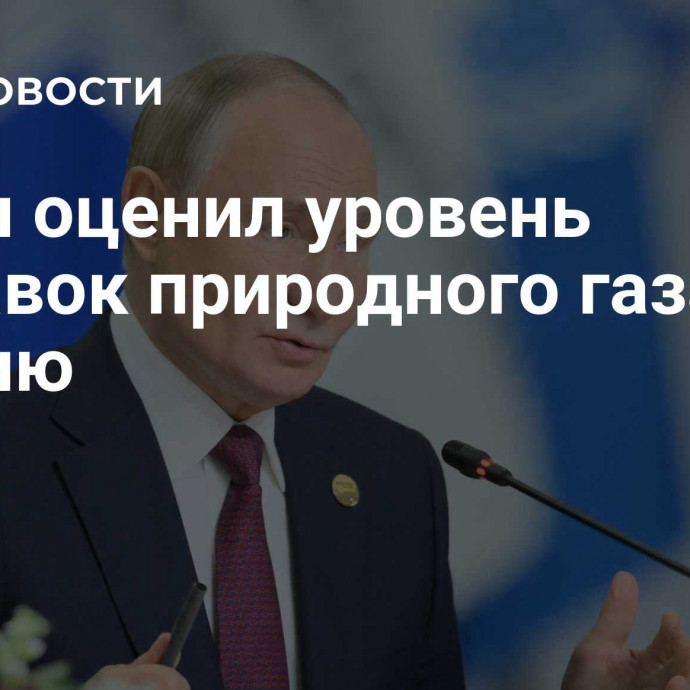 Путин оценил уровень поставок природного газа в Турцию