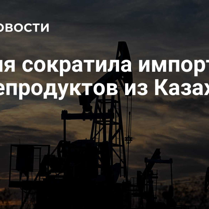 Россия сократила импорт нефтепродуктов из Казахстана