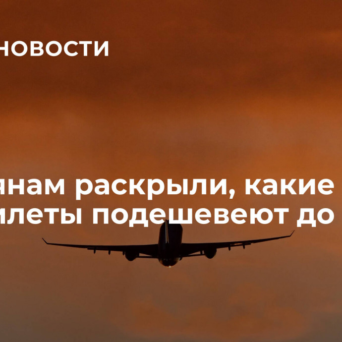 Россиянам раскрыли, какие авиабилеты подешевеют до конца года