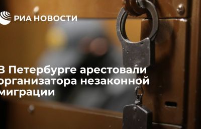 В Петербурге арестовали организатора незаконной миграции