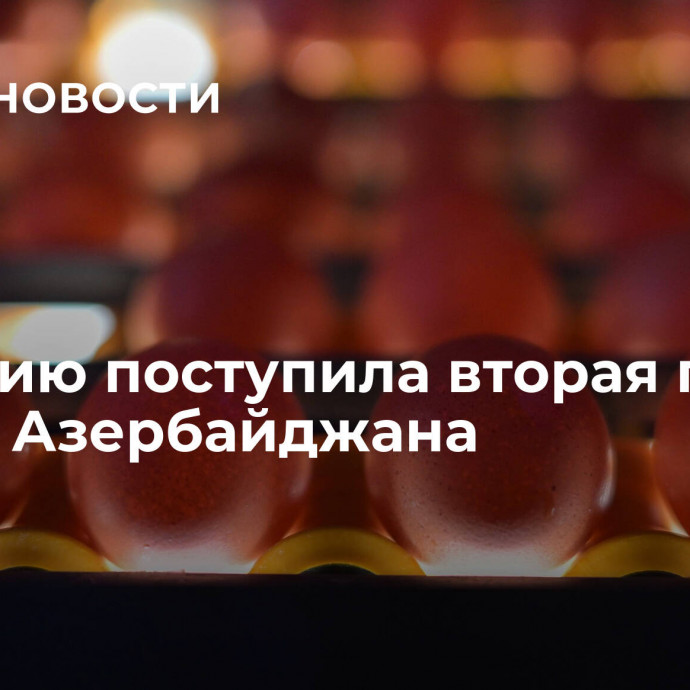 В Россию поступила вторая партия яиц из Азербайджана