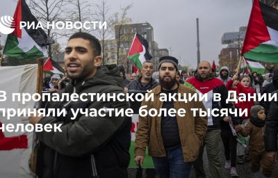 В пропалестинской акции в Дании приняли участие более тысячи человек