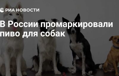 В России промаркировали пиво для собак