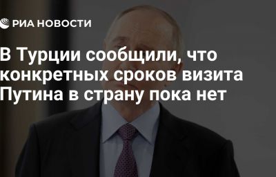 В Турции сообщили, что конкретных сроков визита Путина в страну пока нет