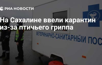 На Сахалине ввели карантин из-за птичьего гриппа