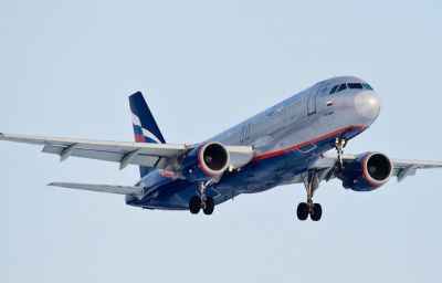 Следовавший из Самары в Москву Airbus A320 совершил штатную посадку