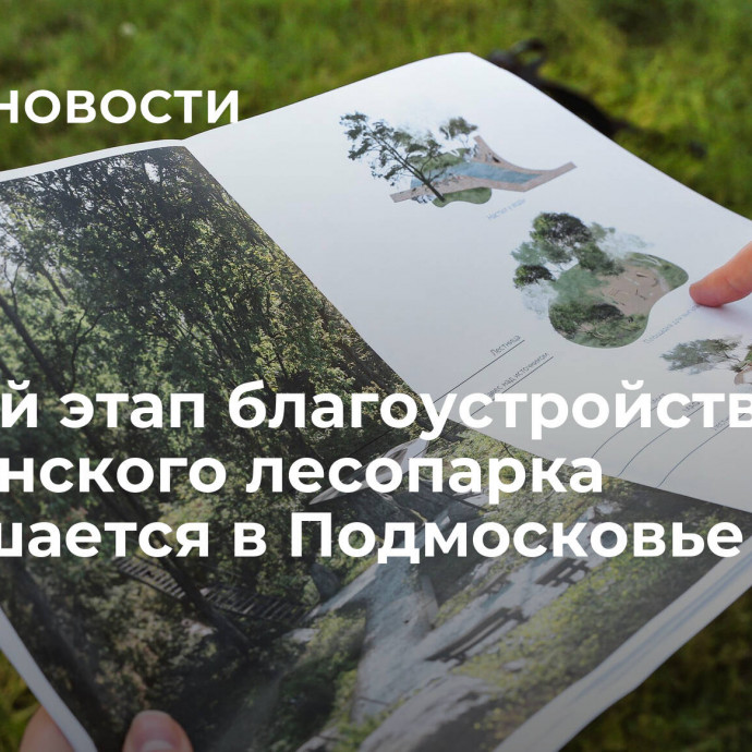 Первый этап благоустройства Химкинского лесопарка завершается в Подмосковье