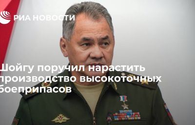 Шойгу поручил нарастить производство высокоточных боеприпасов