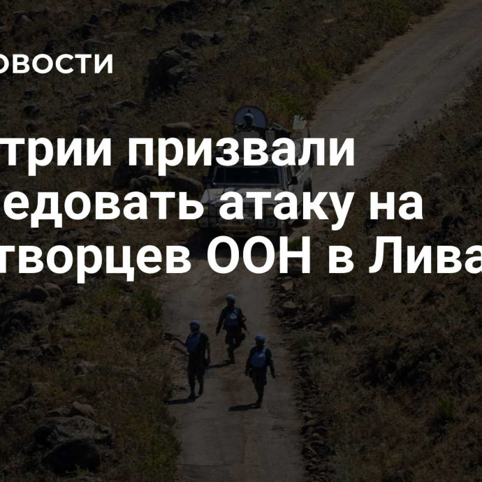 В Австрии призвали расследовать атаку на миротворцев ООН в Ливане