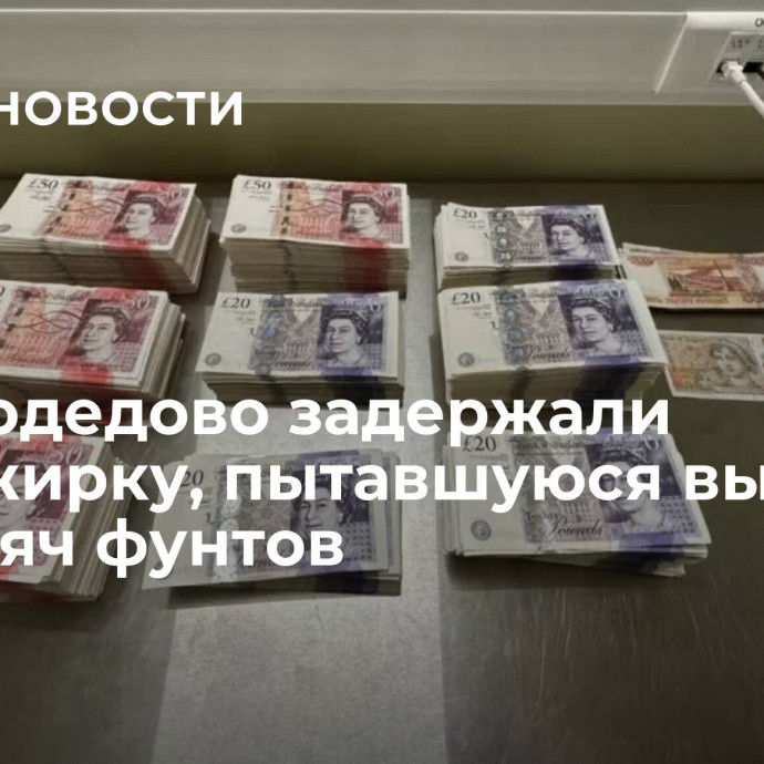 В Домодедово задержали пассажирку, пытавшуюся вывезти 112 тысяч фунтов