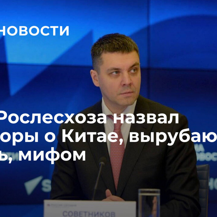 Глава Рослесхоза назвал разговоры о Китае, вырубающем Сибирь, мифом