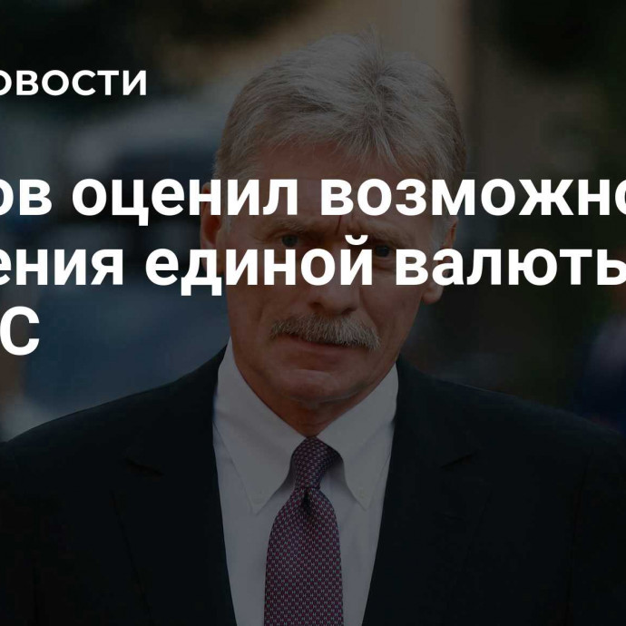 Песков оценил возможность введения единой валюты БРИКС