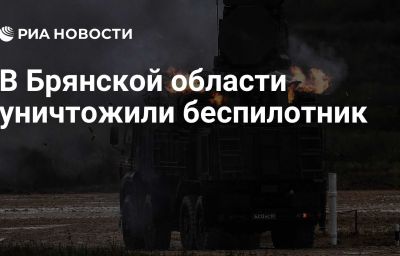 В Брянской области уничтожили беспилотник