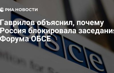 Гаврилов объяснил, почему Россия блокировала заседания Форума ОБСЕ