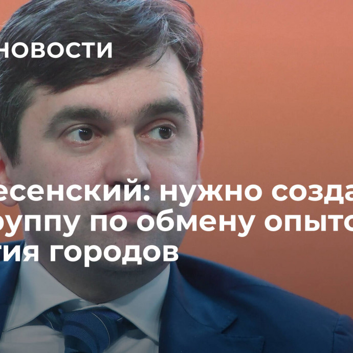 Воскресенский: нужно создать спецгруппу по обмену опытом развития городов