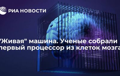 "Живая" машина. Ученые собрали первый процессор из клеток мозга