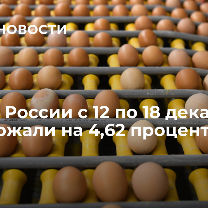 Яйца в России с 12 по 18 декабря подорожали на 4,62 процента