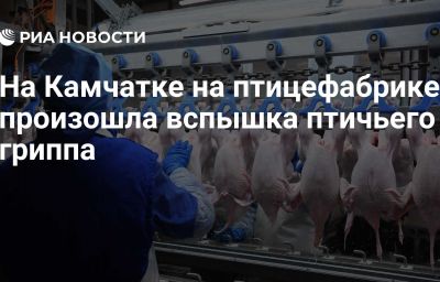 На Камчатке на птицефабрике произошла вспышка птичьего гриппа