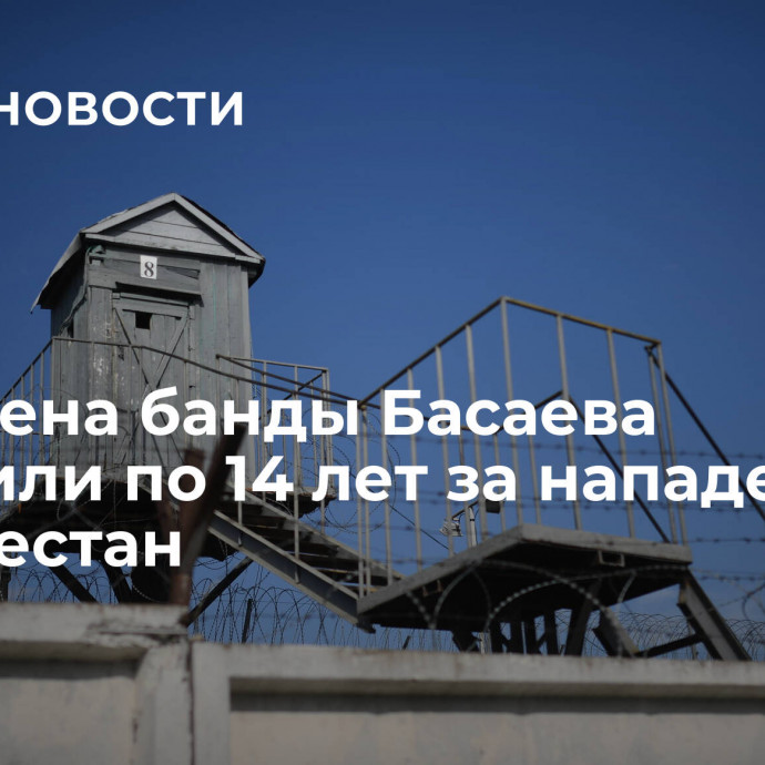 Два члена банды Басаева получили по 14 лет за нападение на Дагестан