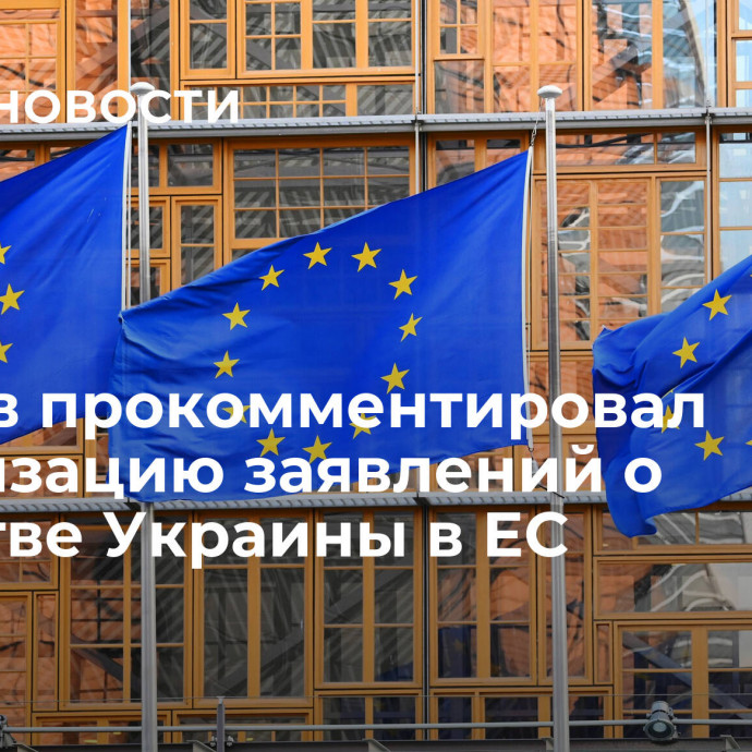 Лавров прокомментировал активизацию заявлений о членстве Украины в ЕС