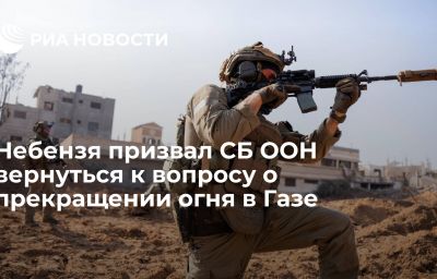 Небензя призвал СБ ООН вернуться к вопросу о прекращении огня в Газе