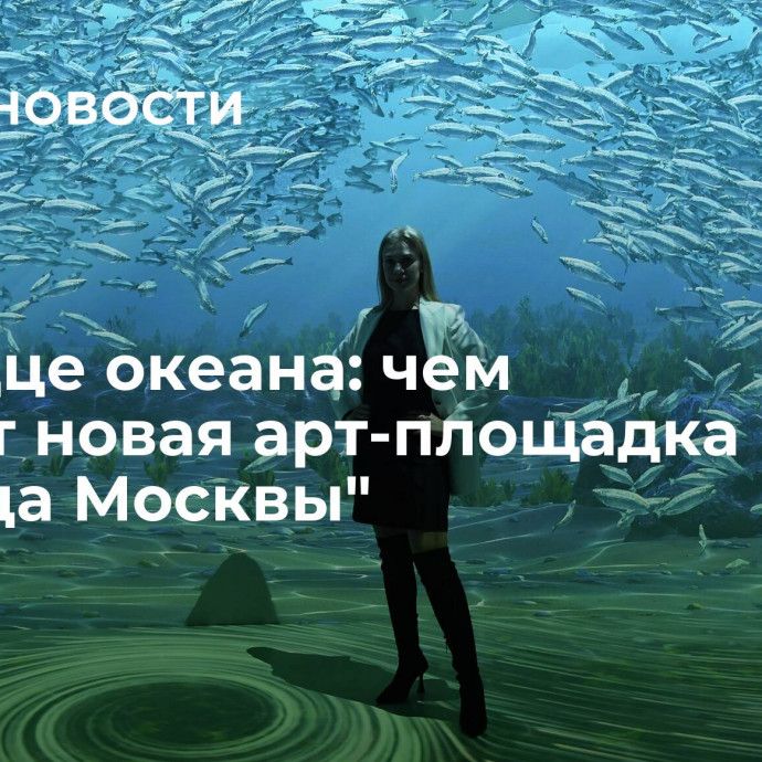 В сердце океана: чем удивит новая арт-площадка 