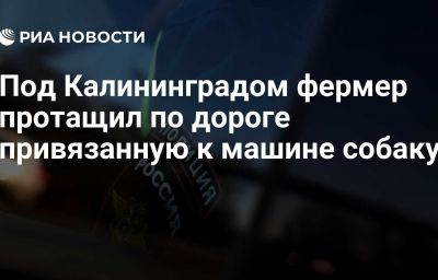 Под Калининградом фермер протащил по дороге привязанную к машине собаку