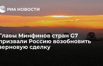 Главы Минфинов стран G7 призвали Россию возобновить зерновую сделку