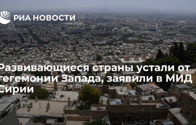 Развивающиеся страны устали от гегемонии Запада, заявили в МИД Сирии