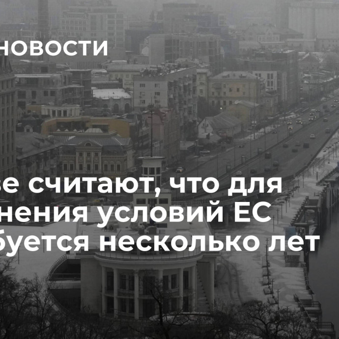 В Киеве считают, что для выполнения условий ЕС потребуется несколько лет