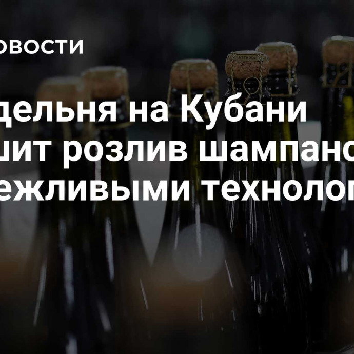 Винодельня на Кубани улучшит розлив шампанского с бережливыми технологиями