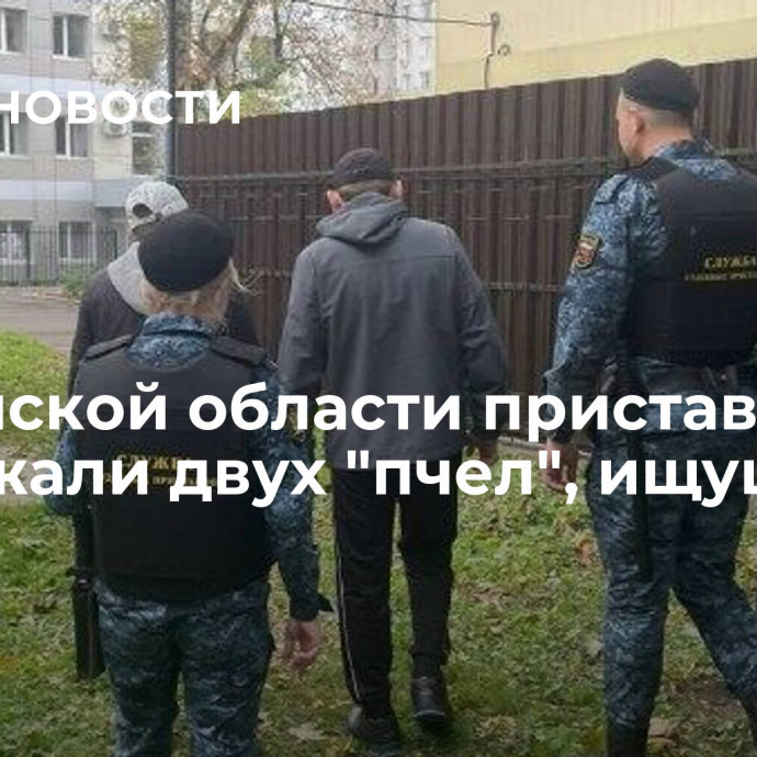 В Брянской области приставы задержали двух 