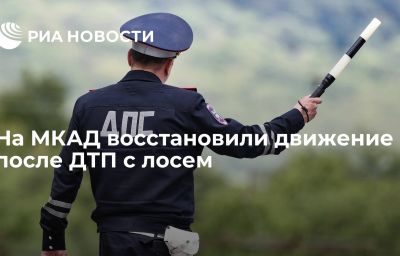 На МКАД восстановили движение после ДТП с лосем