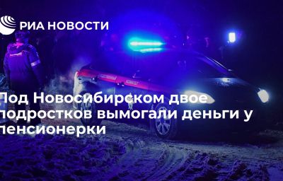 Под Новосибирском двое подростков вымогали деньги у пенсионерки