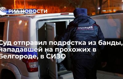 Суд отправил подростка из банды, нападавшей на прохожих в Белгороде, в СИЗО