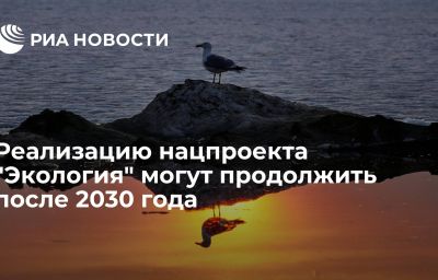 Реализацию нацпроекта "Экология" могут продолжить после 2030 года