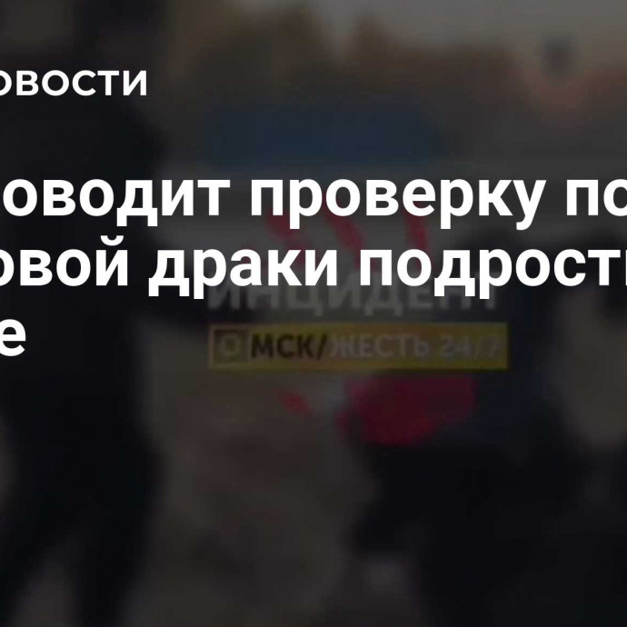 СК проводит проверку после массовой драки подростков в Омске