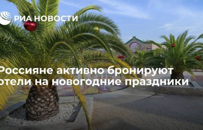 Россияне активно бронируют отели на новогодние праздники