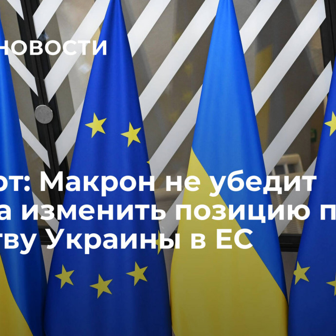 Эксперт: Макрон не убедит Орбана изменить позицию по членству Украины в ЕС