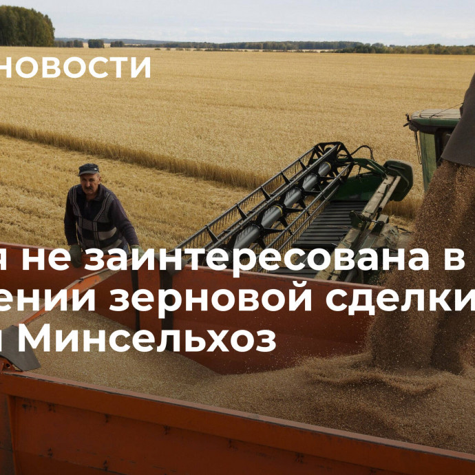 Россия не заинтересована в продлении зерновой сделки, заявил Минсельхоз