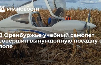 В Оренбуржье учебный самолет совершил  вынужденную посадку в поле